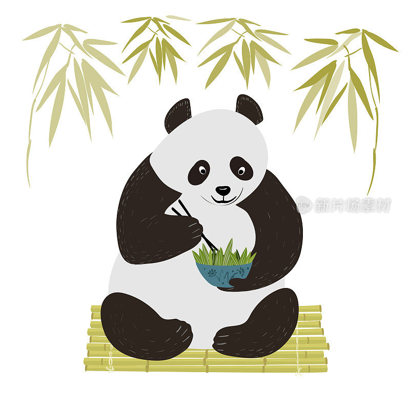 Cute panda eat bamboo with chopsticks isolated in white background.